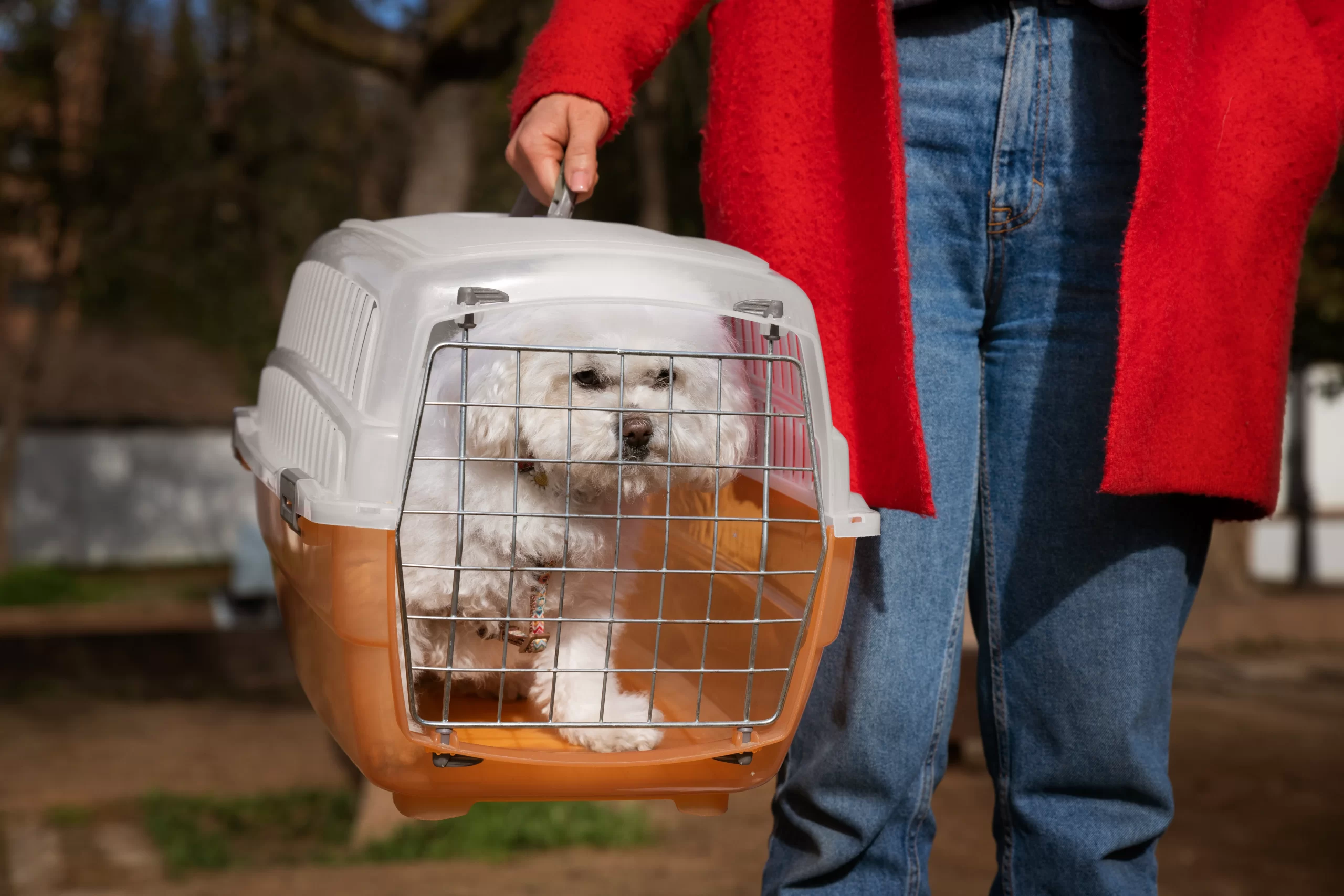 Pet Relocation